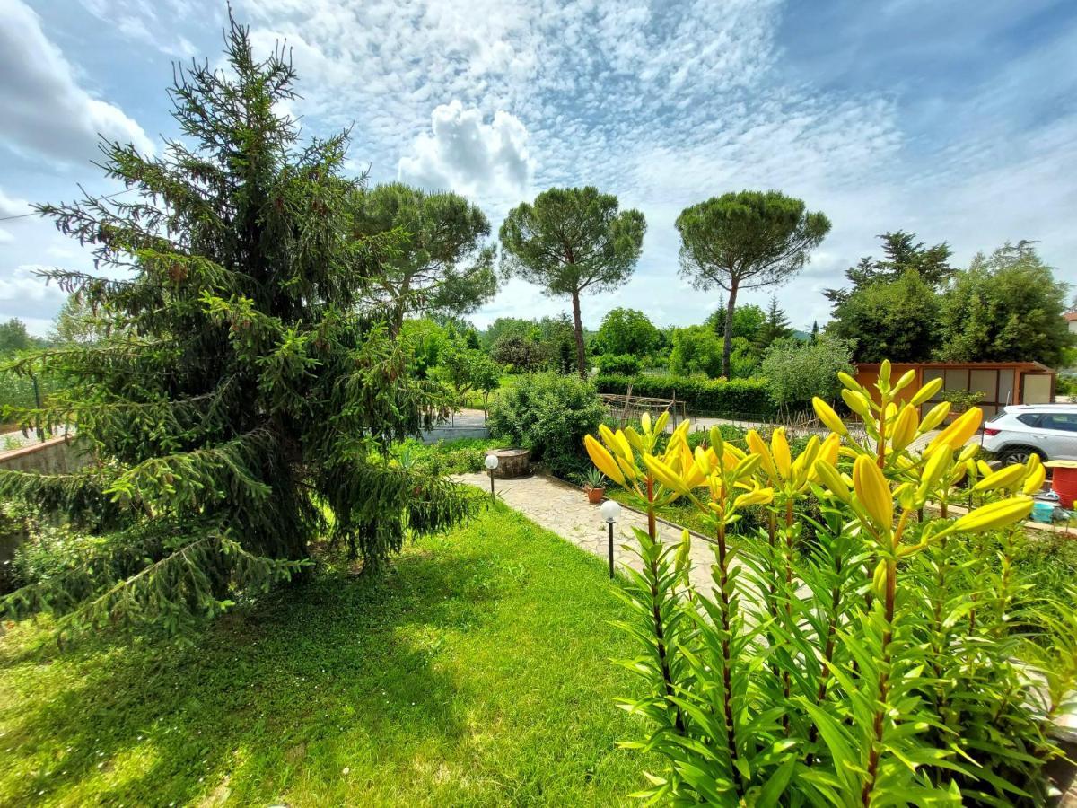 - La Ginestra Ginestra Fiorentina